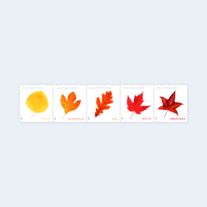 2025 Vibrant Leaves Postcard Stamps: Self-Adhesive Sheet for Domestic Postcards - Image 2