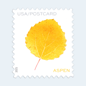 2025 Vibrant Leaves Postcard Stamps: Self-Adhesive Sheet for Domestic Postcards - Image 3