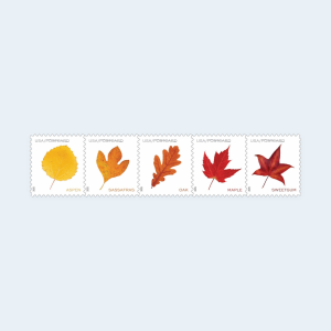 2025 Vibrant Leaves Postcard Stamps: Self-Adhesive Roll for Domestic Postcards - Image 2