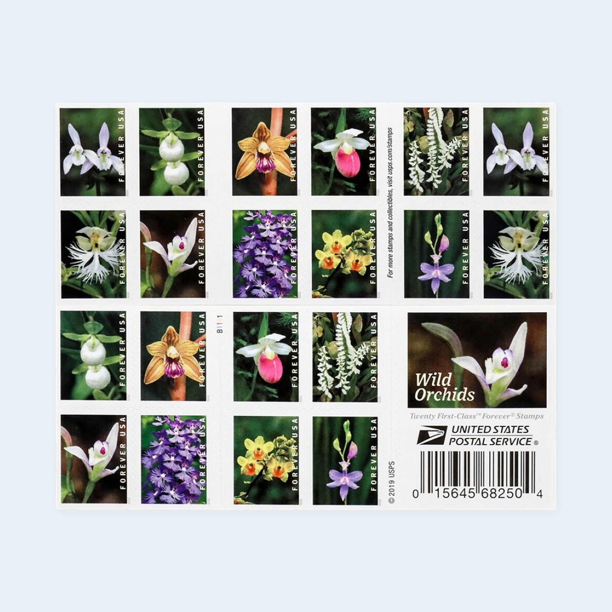 2020 Wild Orchids Forever Stamps: Self-Adhesive Booklets for First-Class Mail
