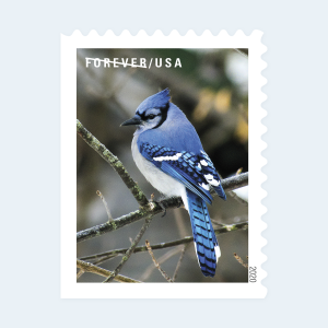 2020 Winter Scenes Forever Stamps: Self-Adhesive Booklet for First-Class Mail - Image 2