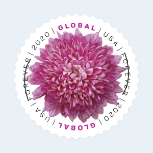 2020 Chrysanthemum Global Forever Stamps: Self-Adhesive Sheet for International Mail - Image 2