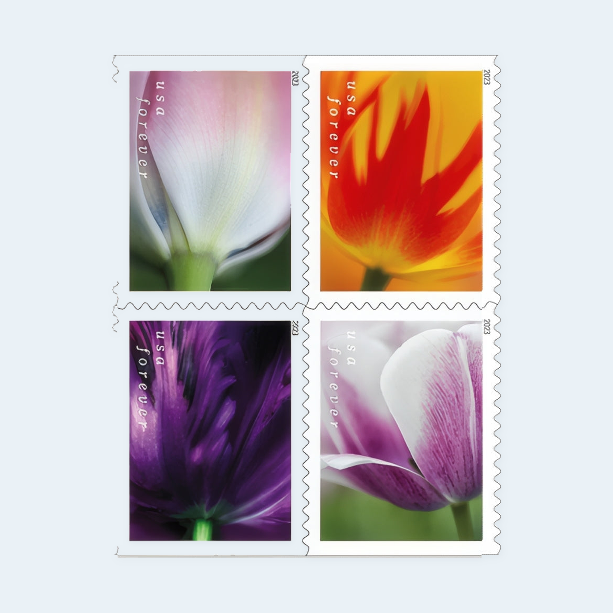 2023 Tulip Blossoms Forever Stamps: Self-Adhesive Booklets for First-Class Mail - Image 2