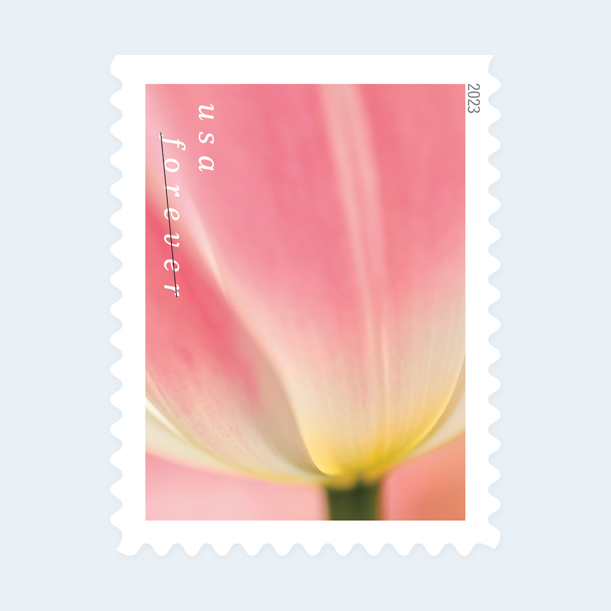 2023 Tulip Blossoms Forever Stamps: Self-Adhesive Booklets for First-Class Mail - Image 3