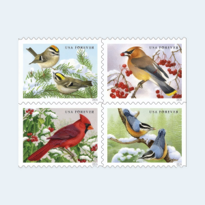 2016 Songbirds in Snow Forever Stamps: Self-Adhesive Booklet for First-Class Mail - Image 2