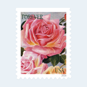 2016 Botanical Art Forever Stamps: Self-Adhesive Booklets for First-Class Mail - Image 4