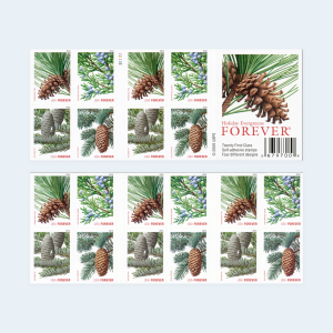 2010 Holiday Evergreens Forever Stamps: Self-Adhesive Booklet for First-Class Mail