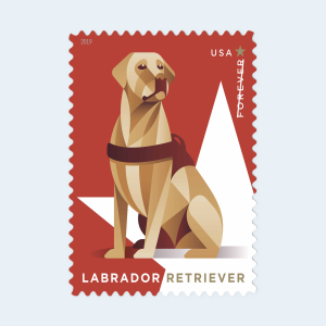 2019 Military Working Dogs Forever Stamps: Self-Adhesive Booklet for First-Class Mail - Image 4