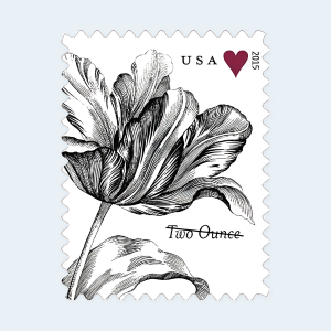 2015 Vintage Tulip Two-Ounce Stamps: Self-Adhesive Sheets for First-Class Mail - Image 2