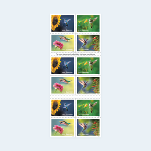2024 Garden Delights Forever Stamps: Self-Adhesive Booklets for First-Class Mail