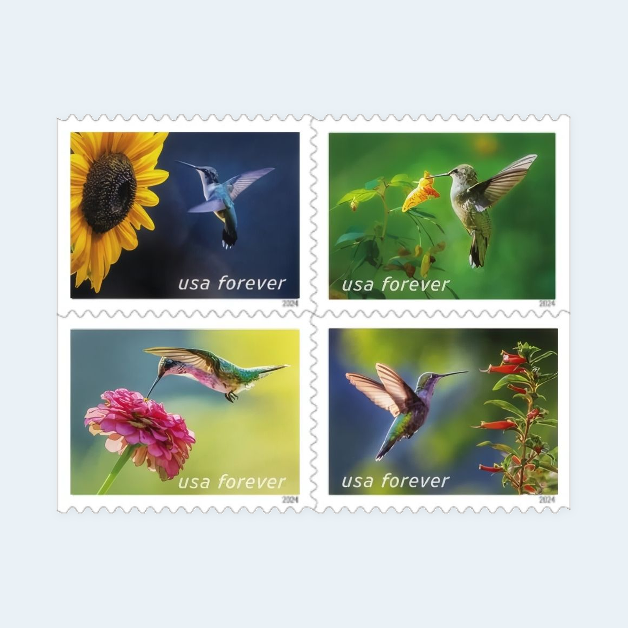 2024 Garden Delights Forever Stamps: Self-Adhesive Booklets for First-Class Mail - Image 2