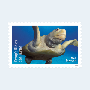 2024 Protect Sea Turtles Forever Stamps: Self-Adhesive Sheet for First-Class Mail - Image 3