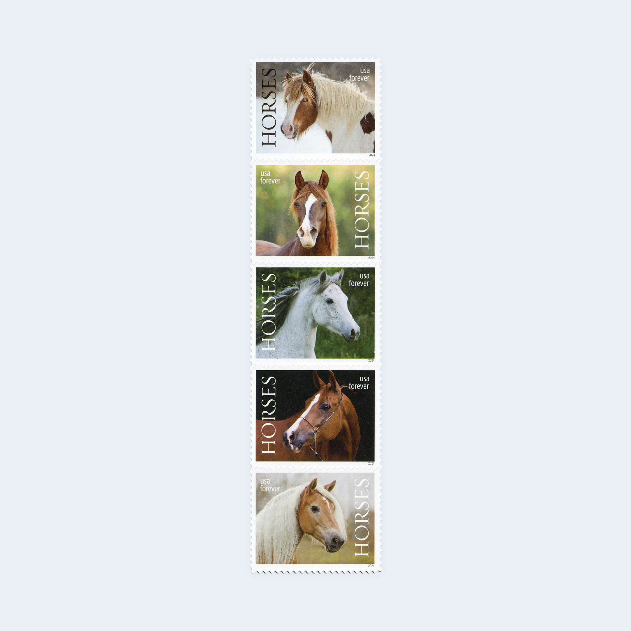 2024 Horses Forever Stamps: Self-Adhesive Sheet for First-Class Mail - Image 2