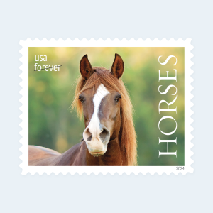 2024 Horses Forever Stamps: Self-Adhesive Sheet for First-Class Mail - Image 4