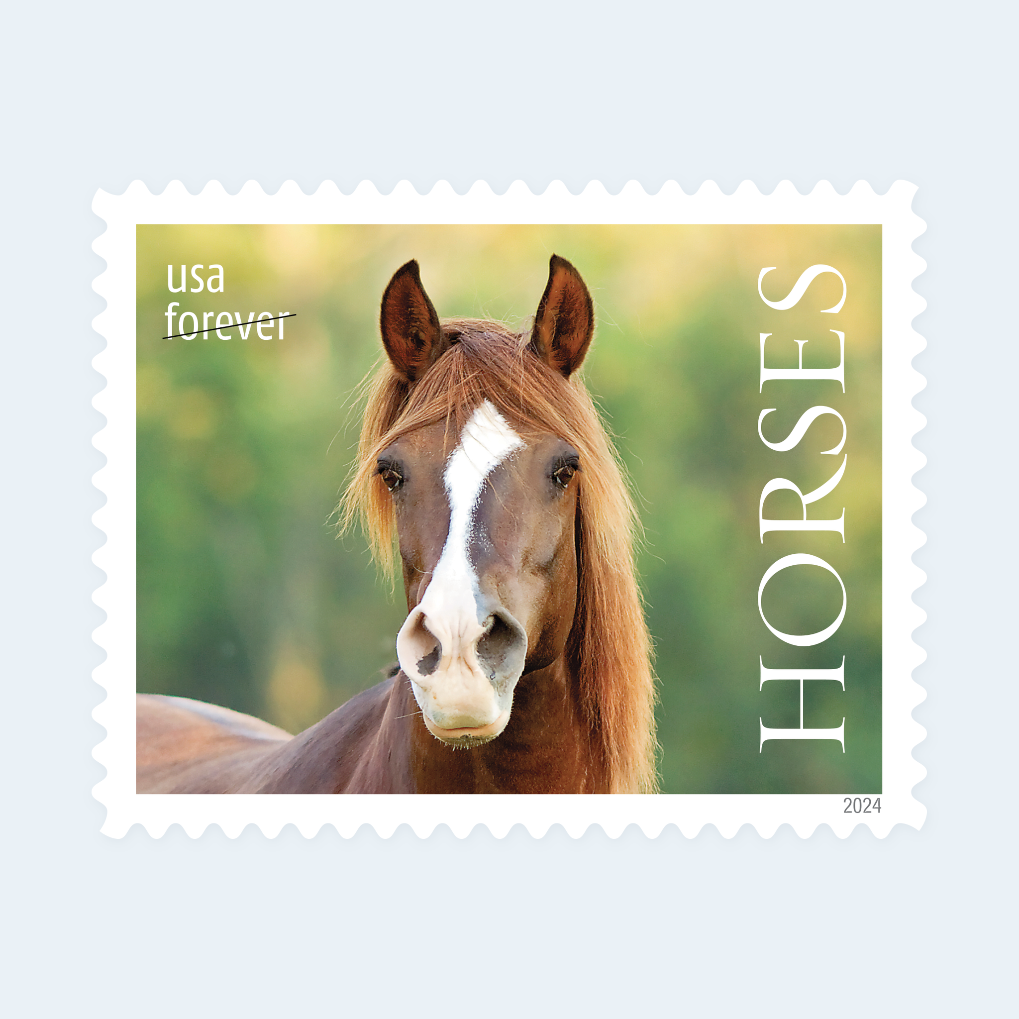 2024 Horses Forever Stamps: Self-Adhesive Sheet for First-Class Mail - Image 4