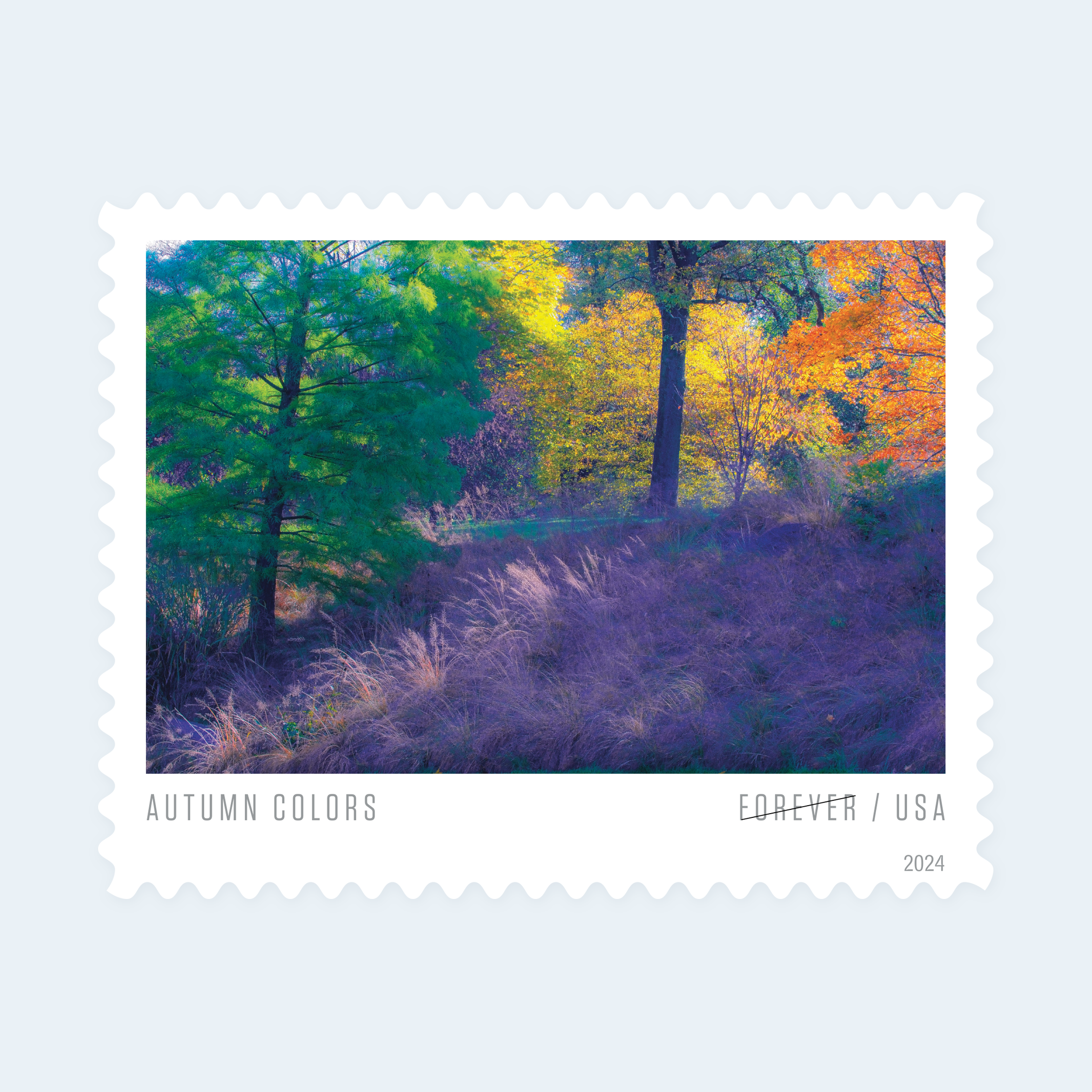 2024 Autumn Colors Forever Stamps: Self-Adhesive Sheet for First-Class Mail - Image 2