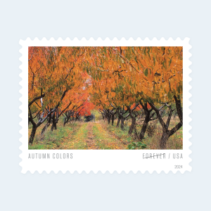 2024 Autumn Colors Forever Stamps: Self-Adhesive Sheet for First-Class Mail - Image 3